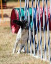 20160618-cckc-1467
