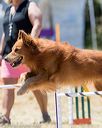 20160618-cckc-1484
