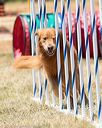 20160618-cckc-1486