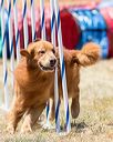 20160618-cckc-1491