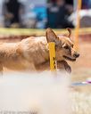 20160618-cckc-1495