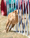 20160618-cckc-1500