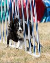 20160618-cckc-1522