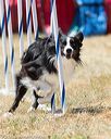 20160618-cckc-1527