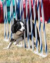 20160618-cckc-1537