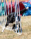 20160618-cckc-1541