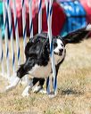 20160618-cckc-1546