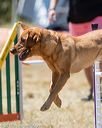 20160618-cckc-1557
