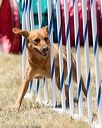 20160618-cckc-1559