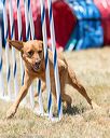 20160618-cckc-1565