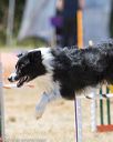 20160618-cckc-1574