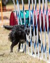 20160618-cckc-1577