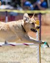 20160618-cckc-1595