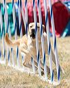 20160618-cckc-1604