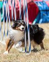 20160618-cckc-1624