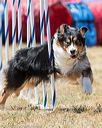 20160618-cckc-1627