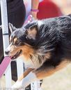 20160618-cckc-1629