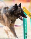 20160618-cckc-1676