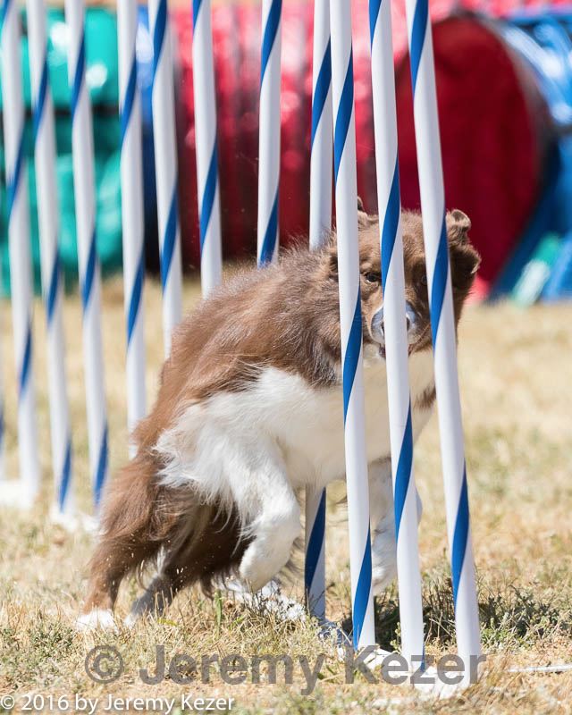 20160618-cckc-1277.jpg