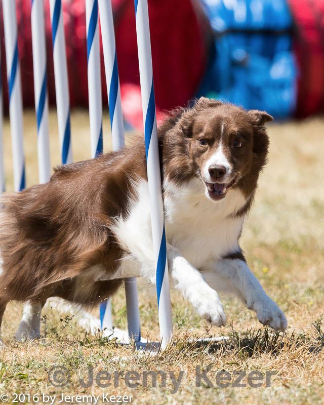 20160618-cckc-1281.jpg
