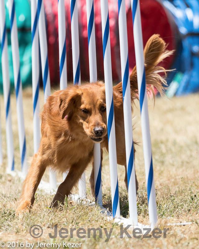 20160618-cckc-1292.jpg
