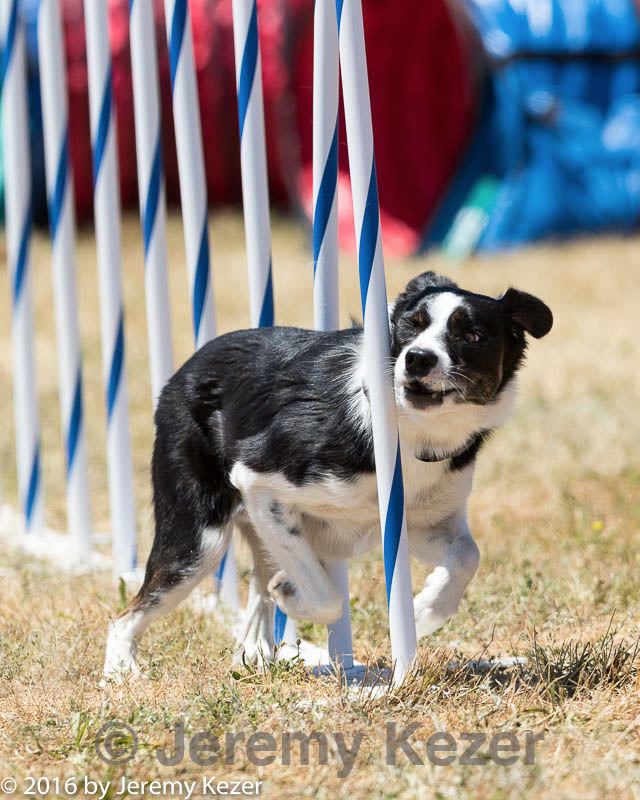 20160618-cckc-1311.jpg