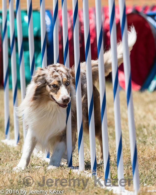 20160618-cckc-1405.jpg
