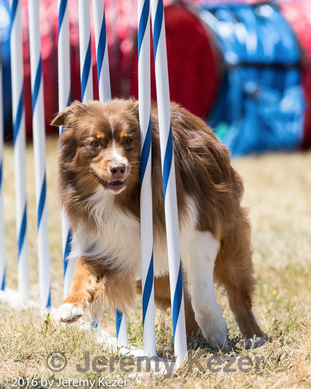 20160618-cckc-1421.jpg