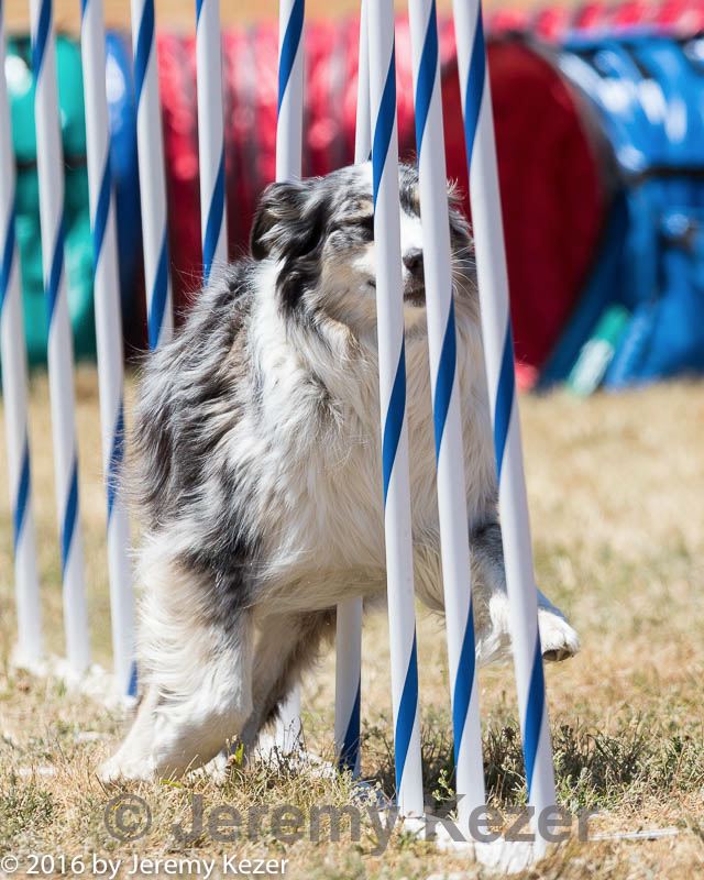 20160618-cckc-1435.jpg