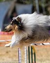 20160618-cckc-1041
