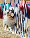 20160618-cckc-1046