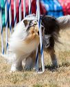 20160618-cckc-1051
