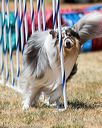 20160618-cckc-1052