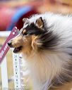 20160618-cckc-1055
