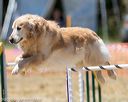 20160618-cckc-1057
