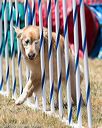 20160618-cckc-1061