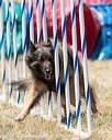 20160618-cckc-1075