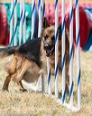 20160618-cckc-1087