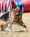 20160618-cckc-1091