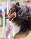 20160618-cckc-1107