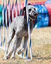 20160618-cckc-1122