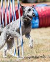 20160618-cckc-1123