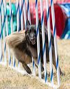 20160618-cckc-1134