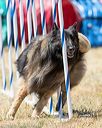 20160618-cckc-1139