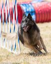 20160618-cckc-1143