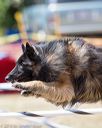 20160618-cckc-1144
