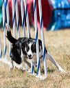 20160618-cckc-1160