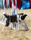 20160618-cckc-1164