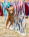 20160618-cckc-1176