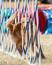 20160618-cckc-1178